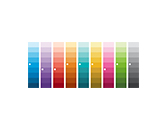 Color Palette
